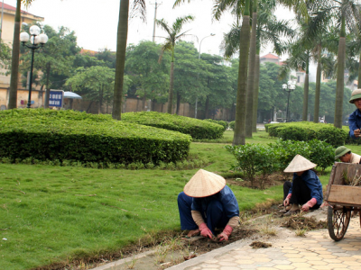 Dịch vụ bảo dưỡng sân vườn tại Đà Nẵng