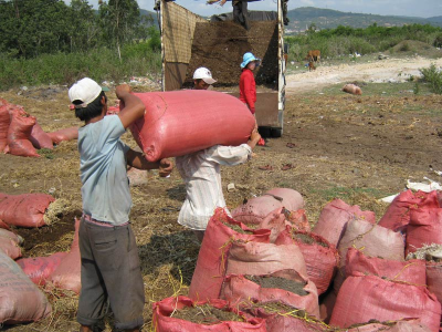 Cung cấp xơ dừa, phân bò bón cây cảnh tại Đà Nẵng